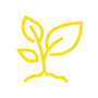 Grow